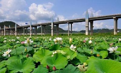 央媒聚焦郧阳区定点帮扶助推乡村振兴：打造绿色发展的水利样本