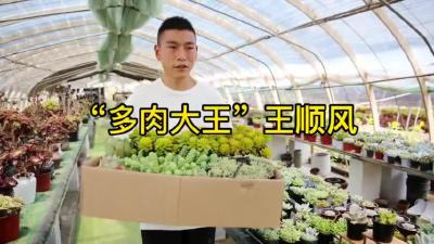 《创业路上的年轻人 》第5期：“多肉大王”王顺风