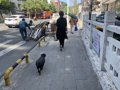 张湾区红卫街道持续曝光不文明行为，看看都有谁