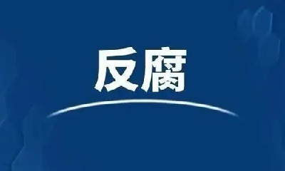 湖北两人被查！