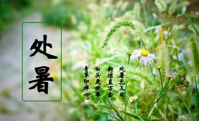 二十四节气 | 离离暑云散袅袅凉风起 今日迎来处暑节气