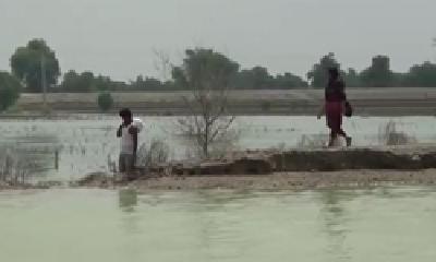 巴基斯坦洪灾遇难人数上升，巴方称救援难度高