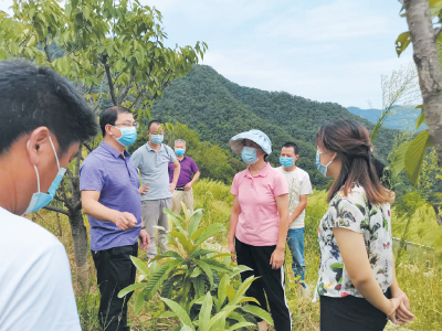 一线指导抗旱 减轻农户损失