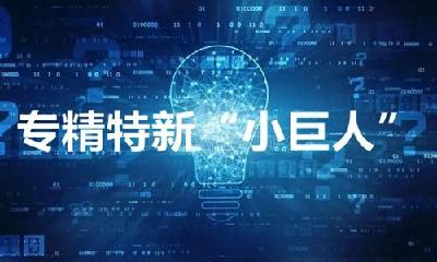 全省第四批专精特新“小巨人”企业名单公布 张湾区三家企业入选   