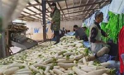 湖北省蔬菜日产量16万吨 “菜篮子”提得稳稳的