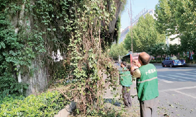 热线直播 | 市民反映绿植挡住车行道影响视线 十堰园林部门这样回复