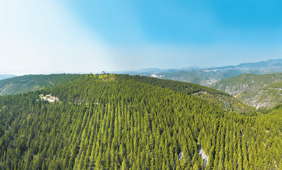 石漠化治理 换回满山苍翠