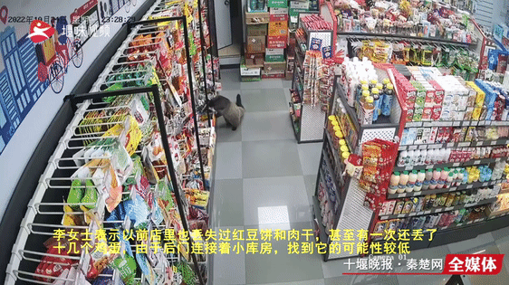 三堰一商店频频丢东西，偷货贼竟是个“长尾巴”的！