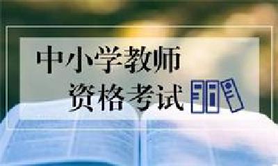 10年间报考人数翻66倍，“教资热”的背后是什么？