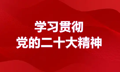 学习贯彻党的二十大精神 | 市市场监管局：全面提高市场监管能力水平