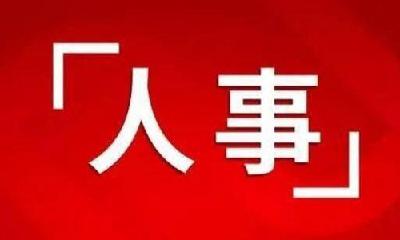 武汉最新人事任免