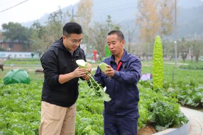 十堰美食又要香飘天下！央视探寻“四大怪”制作全过程