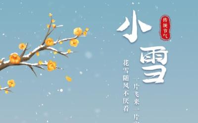 二十四节气 | 今日小雪节气：花雪随风不厌看，一片飞来一片寒