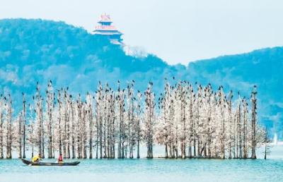 多彩湿地！《湿地公约》第十四届缔约方大会今日在汉开幕