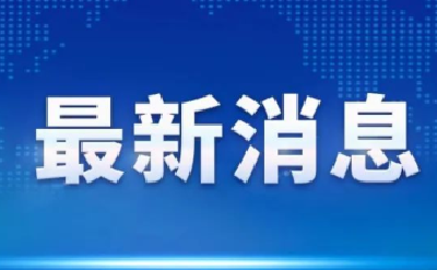 教育部：严厉打击培训机构涉特殊类型考试招生工作违规违法行为