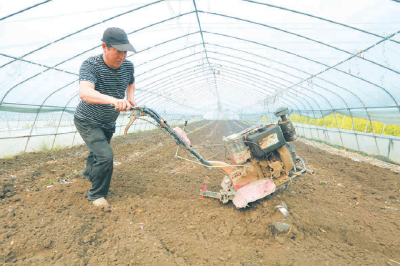 大棚种植奔富路