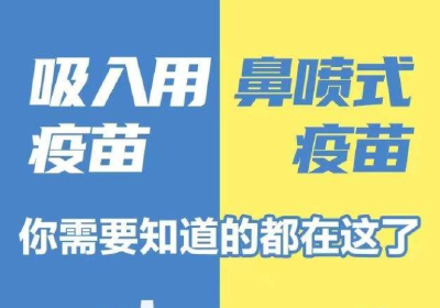 吸入式疫苗 鼻喷式疫苗有啥区别？你需要知道的都在这了 