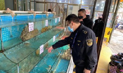 “4个菜1500块”！广西北海通报调查情况：店家被立案处罚