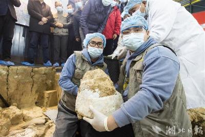 “2022年度湖北文物十件大事”发布：“郧县人”3号头骨化石出土 实证百万年人类史上榜