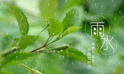 二十四节气 | 后天迎来雨水节气，同样是雨，为何贵如油？