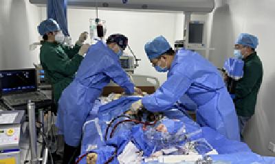 百年总院有绝招丨国药东风总医院应用ECMO技术成功完成首例器官捐献前功能维护