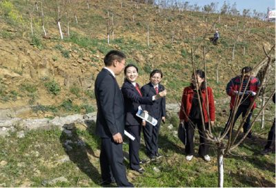 湖北第一例！十堰男子购买碳汇修复生态通过验收组检查