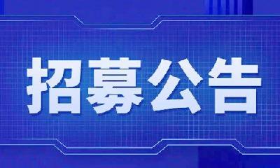 最高每年补贴20000元！湖北招募法律援助志愿者