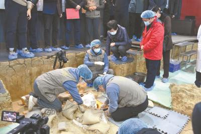 湖北14次入选全国十大考古新发现 “郧县人”头骨化石先后两次入选