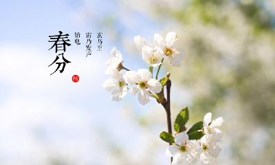 二十四节气 | 今日迎春分 平分了春天