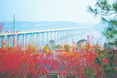 郧阳区：压紧压实责任 确保水质安全