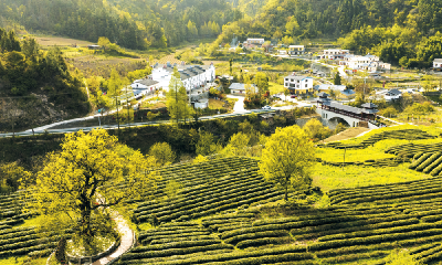 山水田园寄乡愁