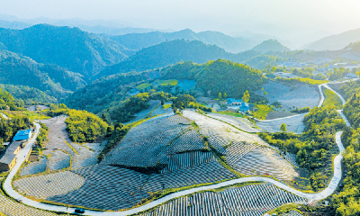 竹山：大地诗行 烟田如画