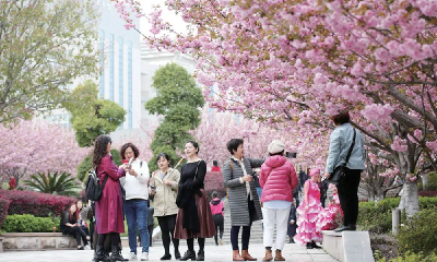 十堰旅游市场快速升温 “引客入堰”效果初显 一季度游客量同比增长超25%