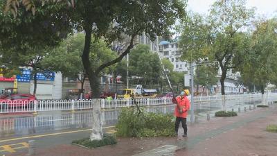 修剪树木、检查户外广告……应对大风降温天气，他们在行动