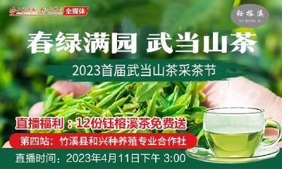 直播 | 2023首届武当山茶采茶节第四站-竹溪县和兴种养殖专业合作社