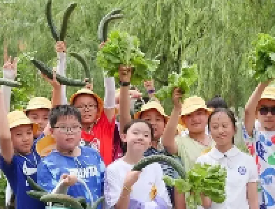 “研学热”持续席卷张湾 带动乡村游“火出圈”