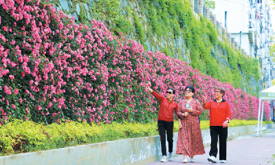 花墙成景 扮靓车城