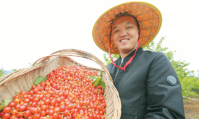 房县举办第九届樱桃采摘节：发挥资源优势 丰富文旅业态