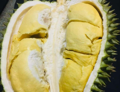吃完榴莲千万别碰这些食物？这几个传言，不可信！