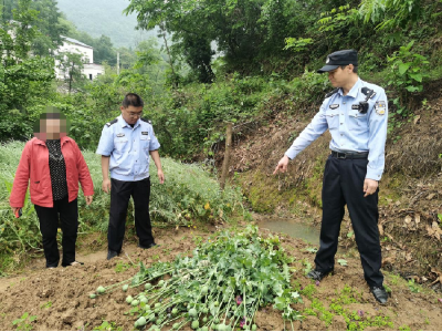 一村民在自家菜地种这种“漂亮的花”，被警察找上门了