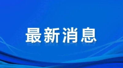 警方通报：立案查处！张某等人被抓