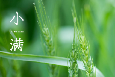 今日小满！拉开主汛期序幕，多地迎来降雨