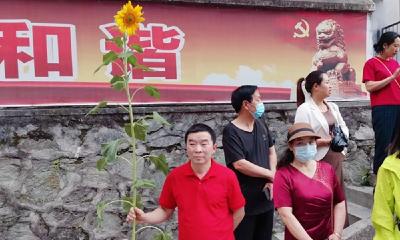 高考花絮 |  “花式”助考！父亲送儿子亲手所种向日葵 祝他一举夺魁