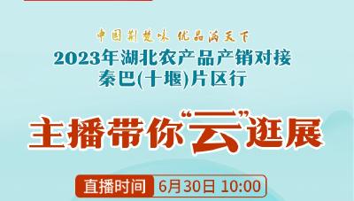 直播丨中国荆楚味 优品满天下 2023湖北农产品产销对接秦巴（十堰）片区行 主播带你“云”逛展