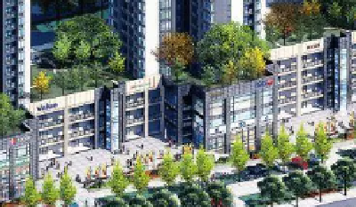 栖谷天街成为夜市经济新地标——阳光社区加强党建引领提振消费观察