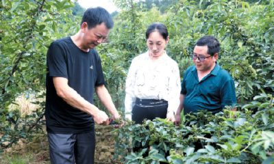 科技特派员 技术送下乡