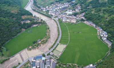 稻田千层浪 乡村好风景