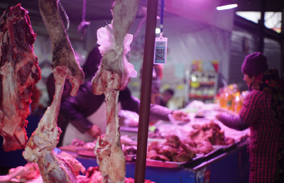 今年羊肉价格持续回落 下半年走势怎样？
