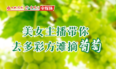 直播丨美女主播带你去多彩方滩摘葡萄