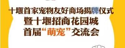 直播 | 十堰首家宠物友好商场揭牌仪式暨十堰招商花园城首届“萌宠”交流会